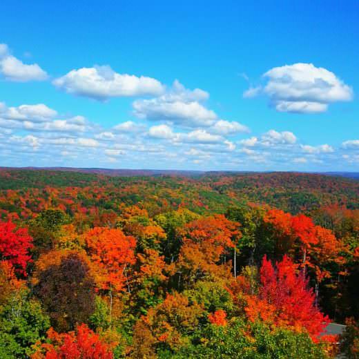 fall-photo-dorset-tower-520-e1488043632838.jpg