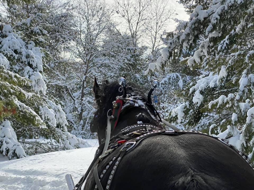 Canada Eh! 3 Unique Winter Experiences
