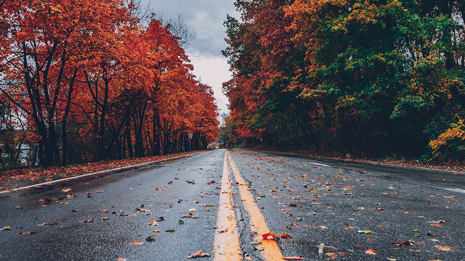 Local tips to seeing the Muskoka fall colours