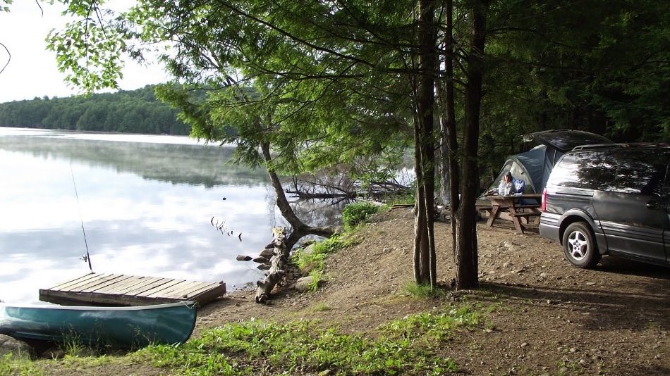 Haliburton Forest and Wild Life Reserve Ltd