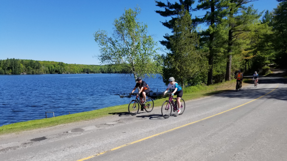 Humdinger Cycling Tours-Muskoka to Haliburton