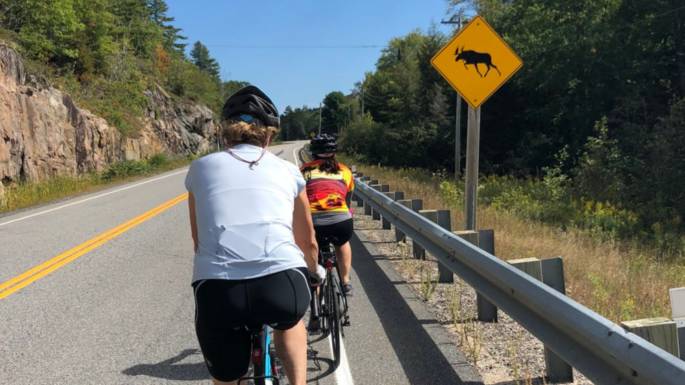Humdinger Cycling Tours-Georgian Bay & Muskoka