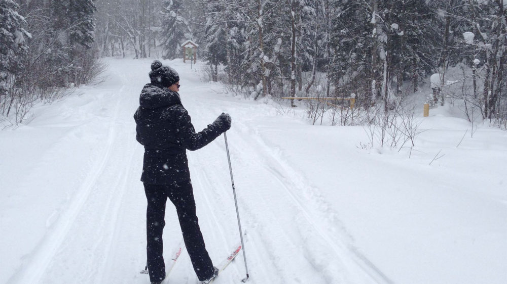 Algonquin Park