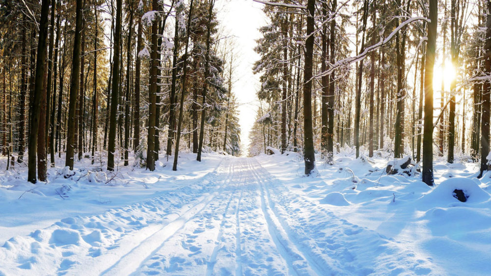 Algonquin Park