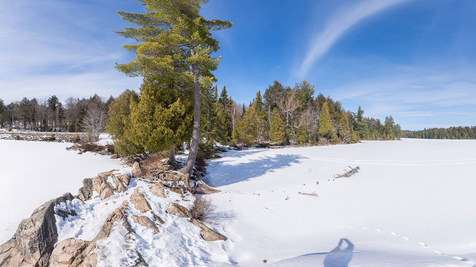 Why Muskoka?