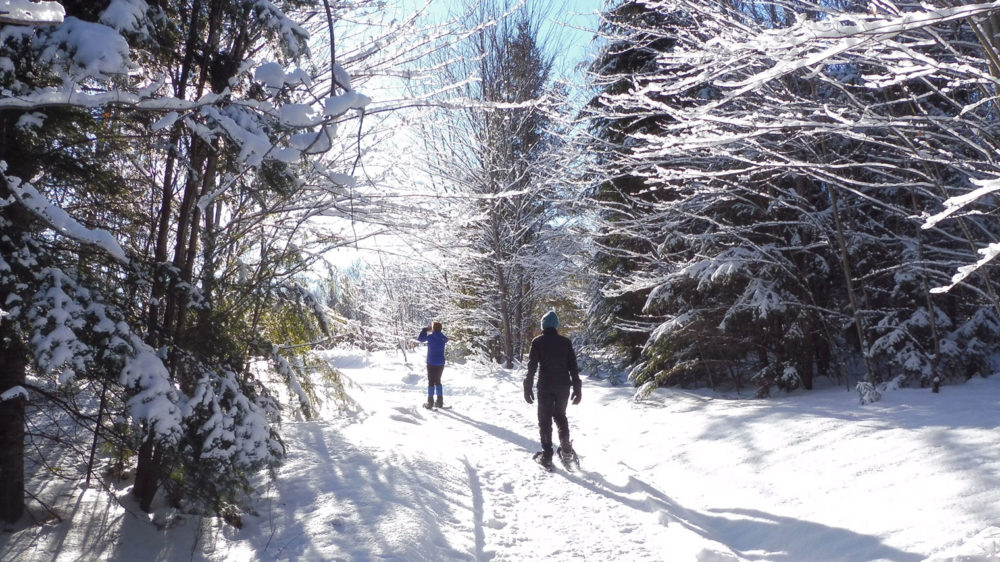 Muskoka Stops Without the Crowds