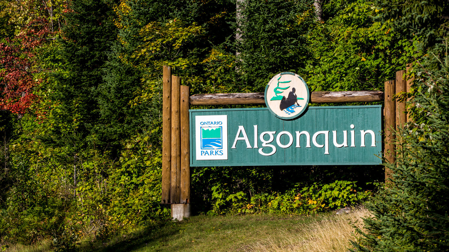 Algonquin Park Entrance Fee Algonquin Park - Camping Adventures