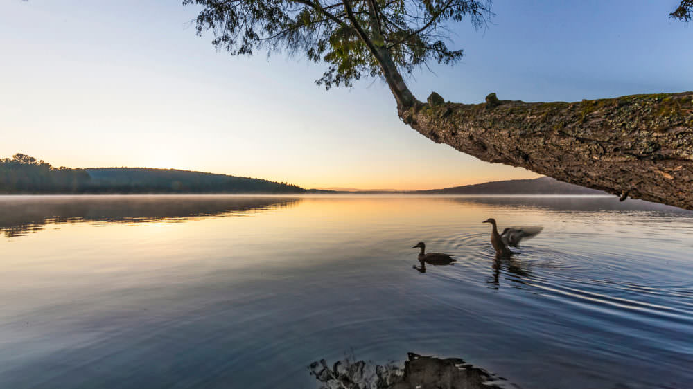 Algonquin Park