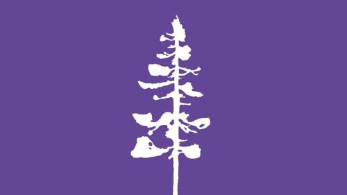 NEW year-round gallery tour in Muskoka