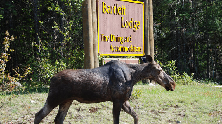 Bartlett Lodge