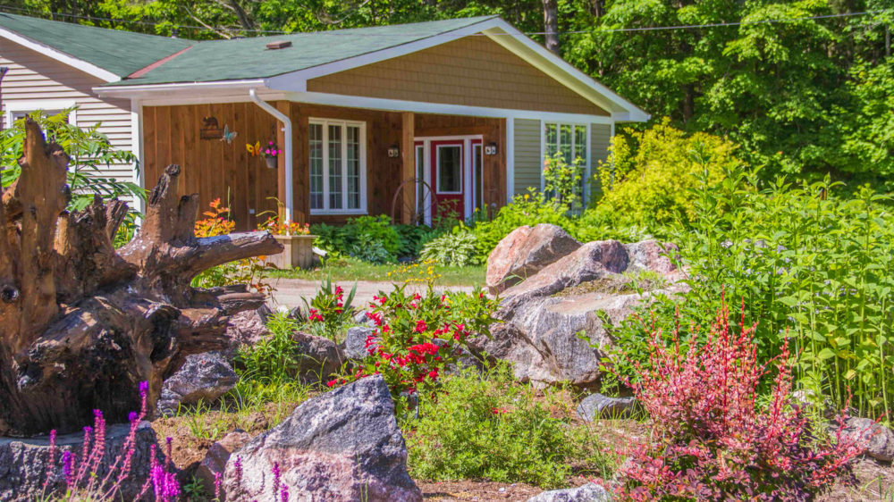 Bear & Butterfly Bed and Breakfast