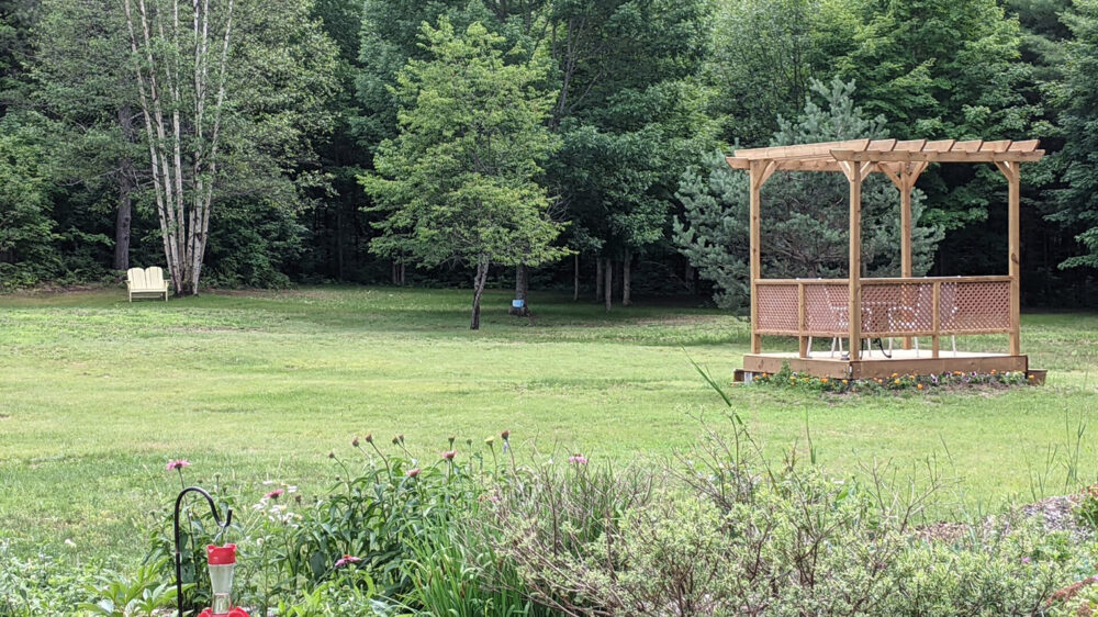 Bear & Butterfly Bed and Breakfast