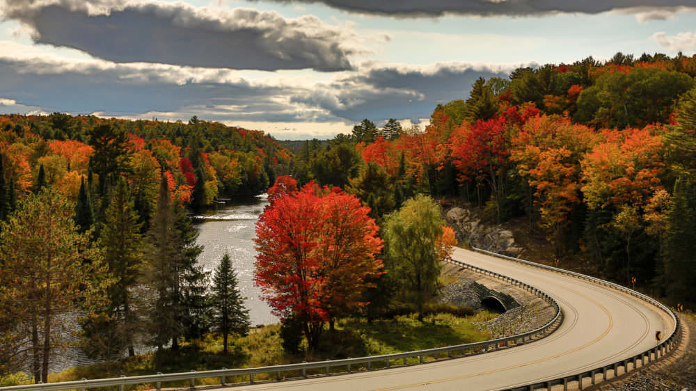 Must-See Muskoka Fall Colour Driving Routes