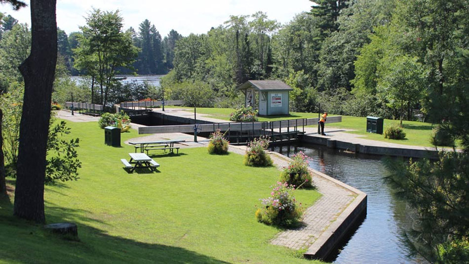 6 Scenic Spots for a Summer's Picnic