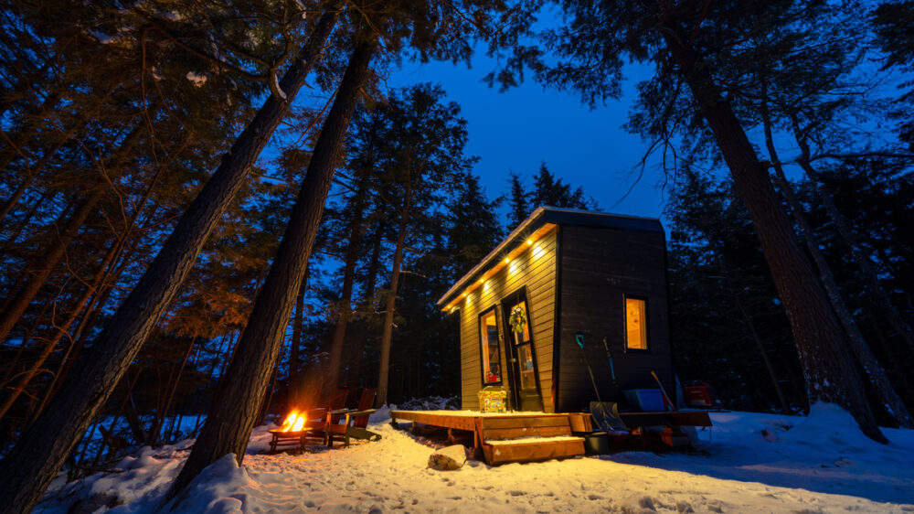 Cabinscape-Limberlost Forest