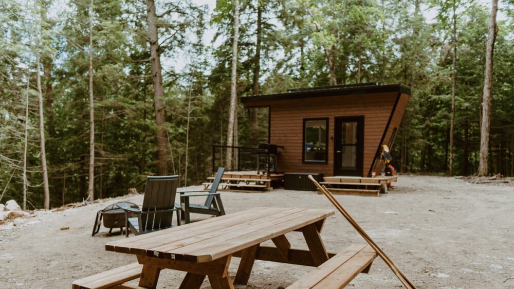 Cabinscape-Limberlost Forest