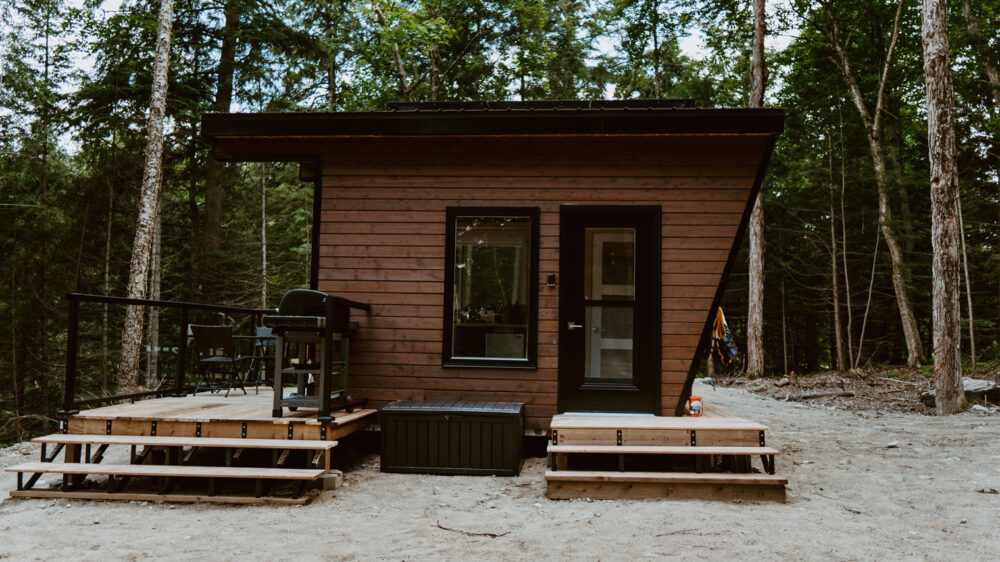 Cabinscape-Limberlost Forest