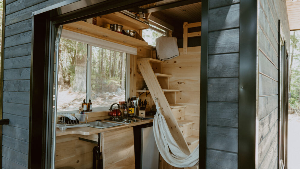 Cabinscape-Limberlost Forest