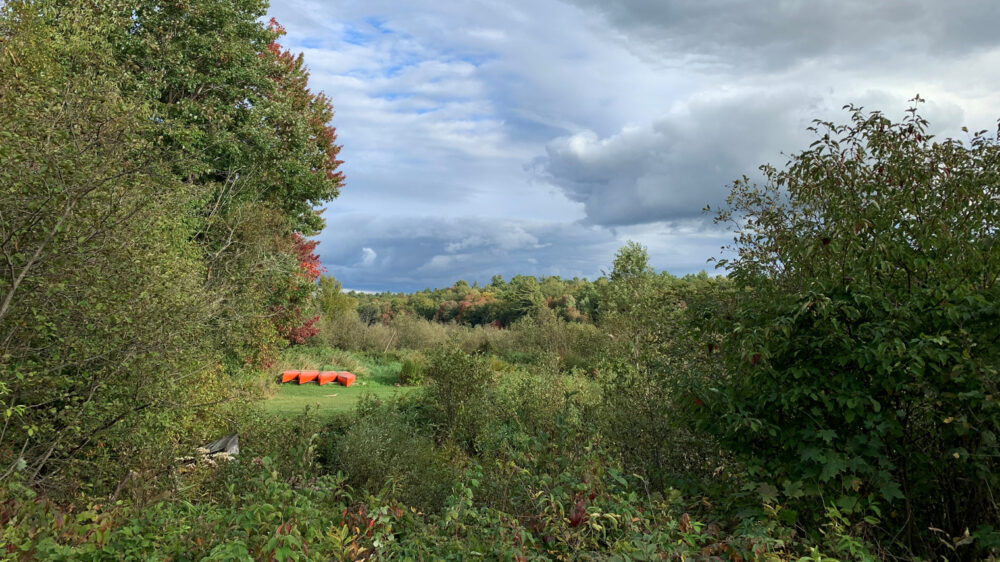 Camping in Muskoka