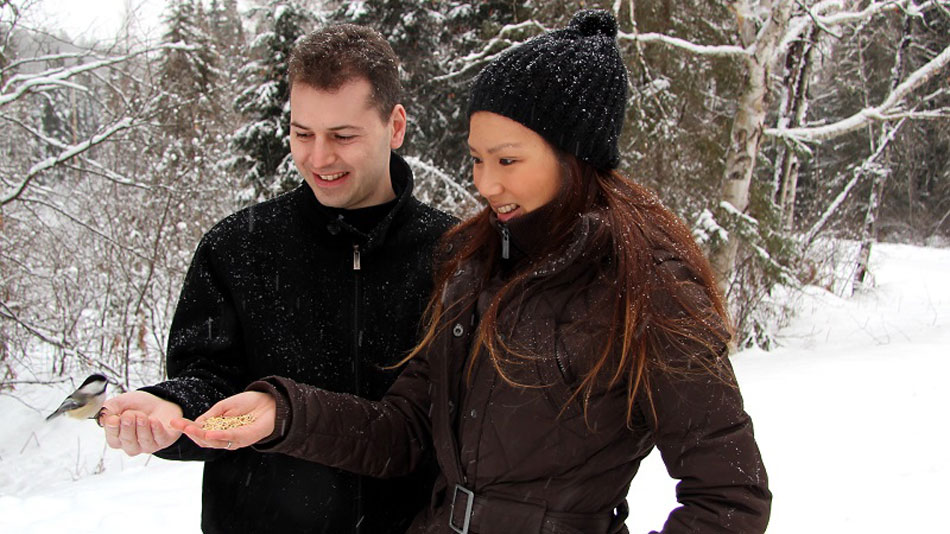 Winter Getaways - Ontario Winter Getaways - Muskoka Winter Getaway Packages