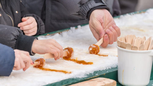Things to do on the March Break, March 9 - 18, 2018
