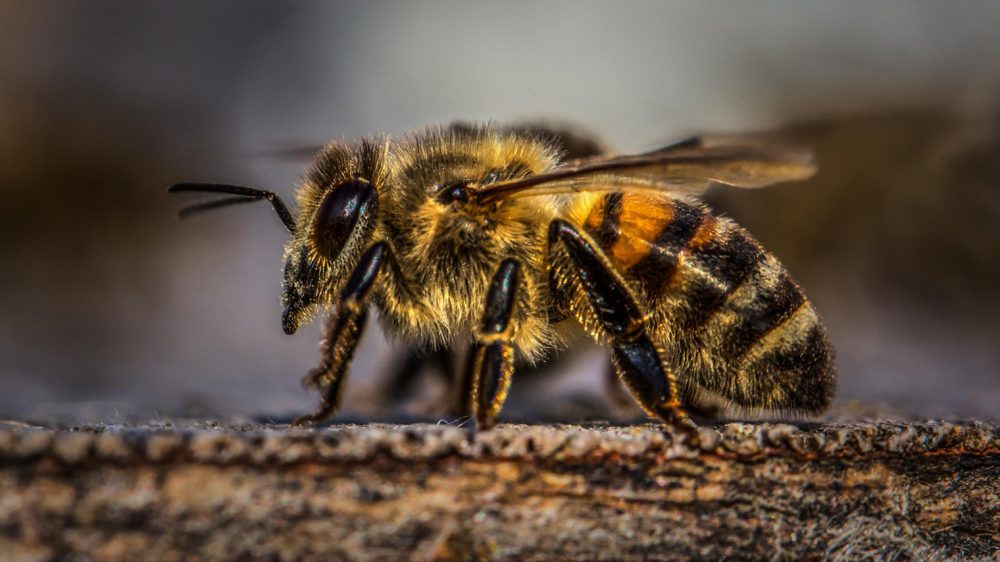 Bumble A New Dating App Where Girls Rule