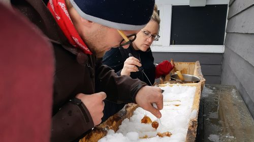 A few fun things to do in Muskoka