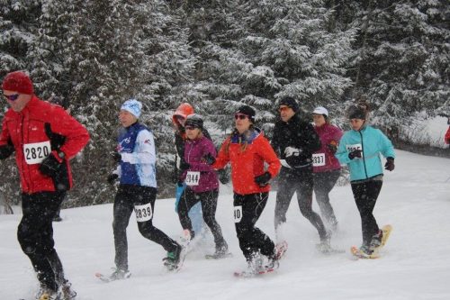 A few fun things to do in Muskoka