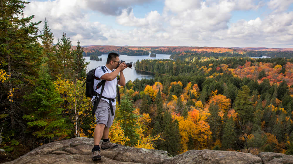Best Places to Take a Fall Photo in Muskoka