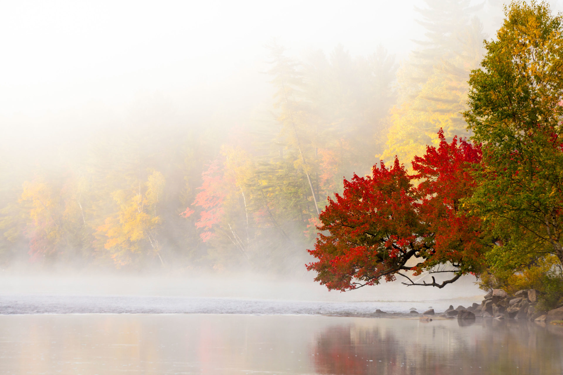 Bakeries &#038; Fall Colours