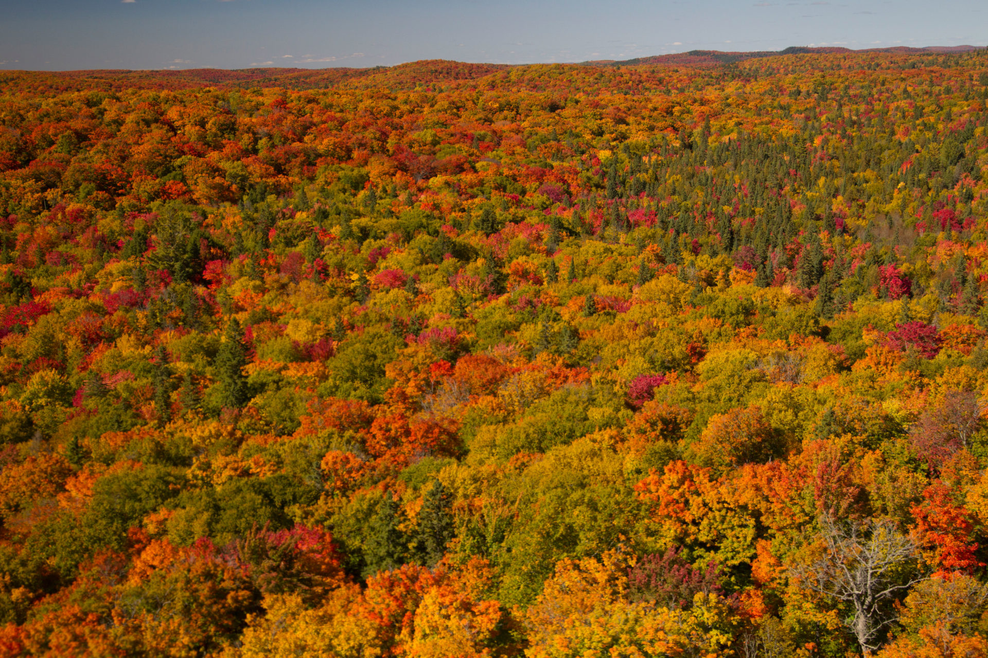 Top Fall Driving Roads in Muskoka