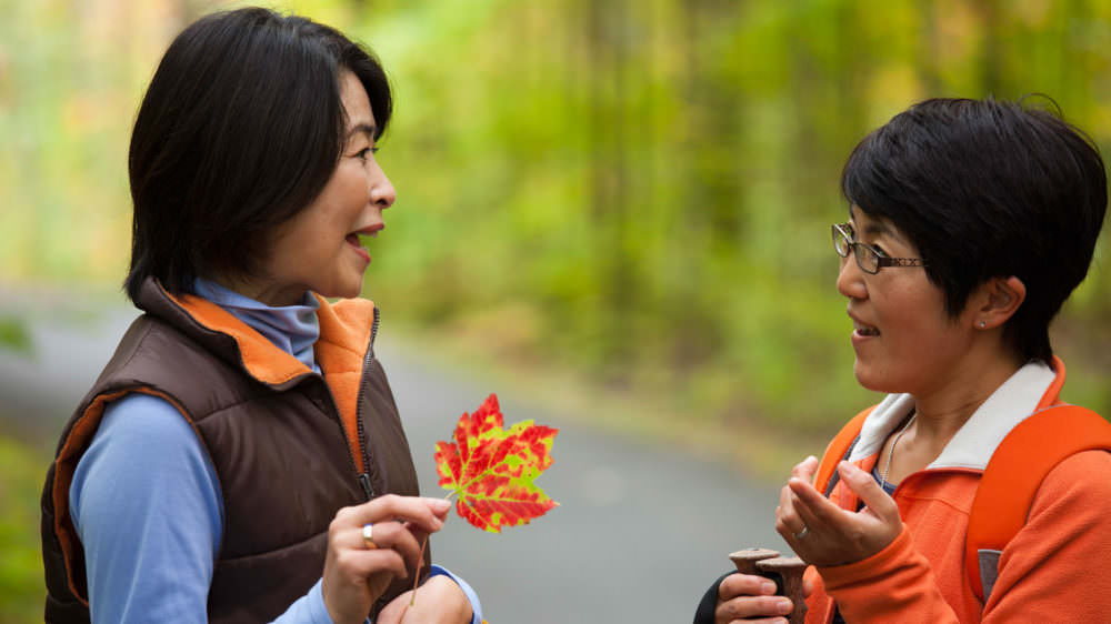 Fall Getaways