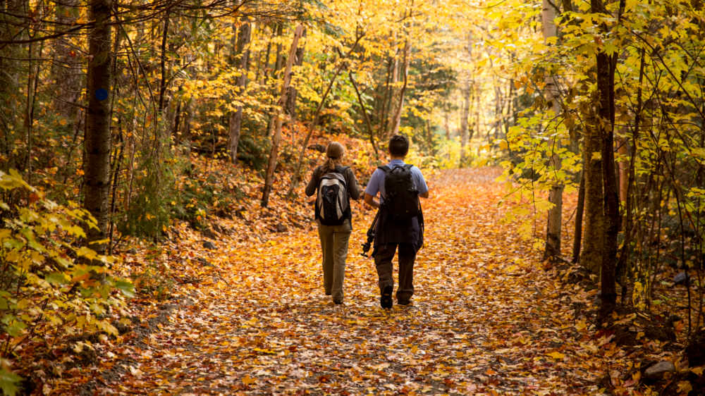 Autumn Hikes That Will Make You Fall in Love with Muskoka all over again!