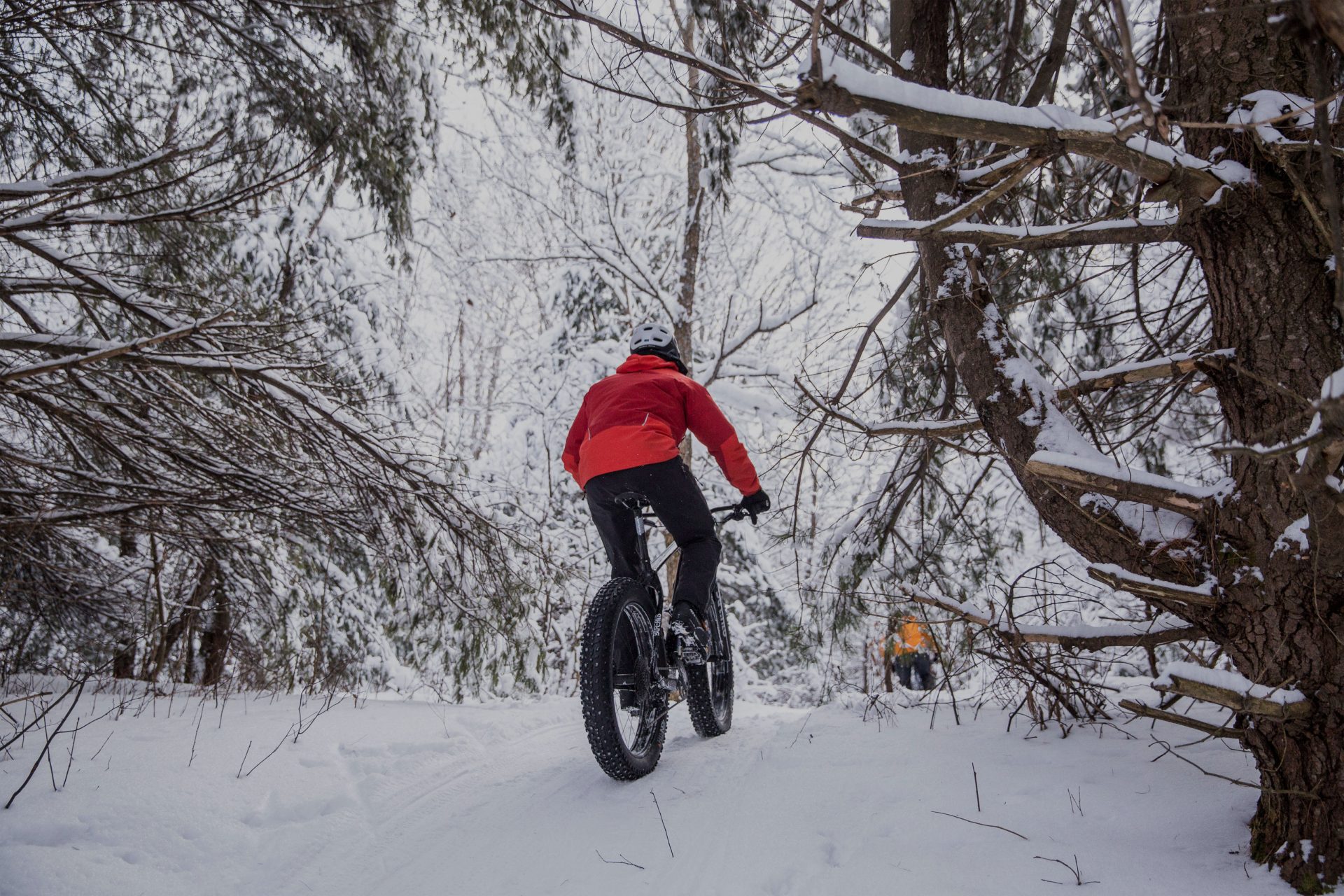 Why Muskoka?