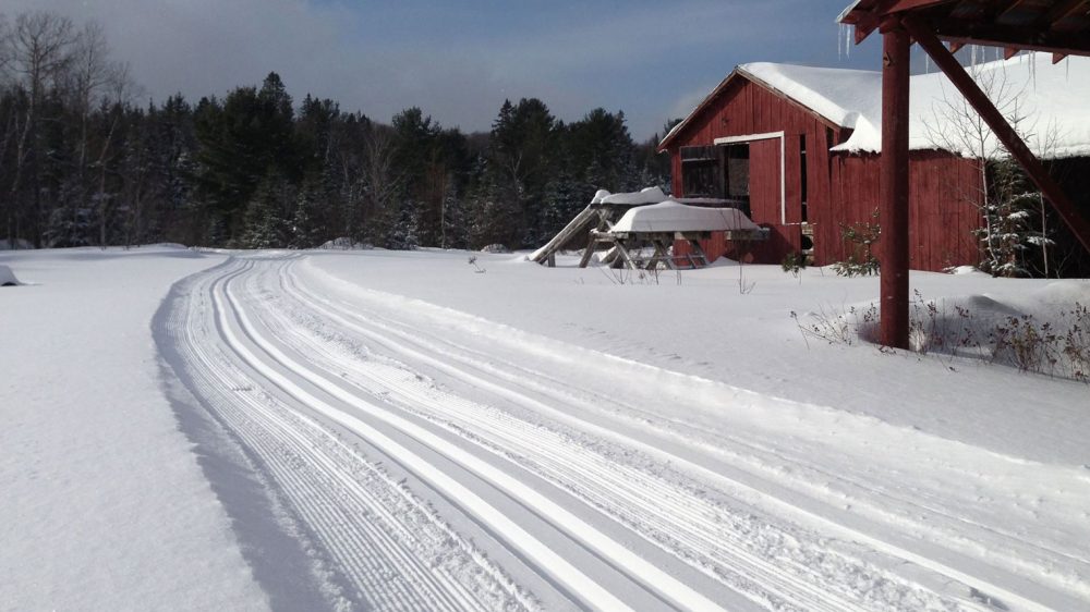 The Frost Centre Cross -Country Ski Trails