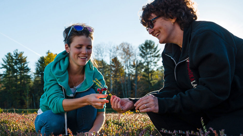 Muskoka Lakes Farm & Winery