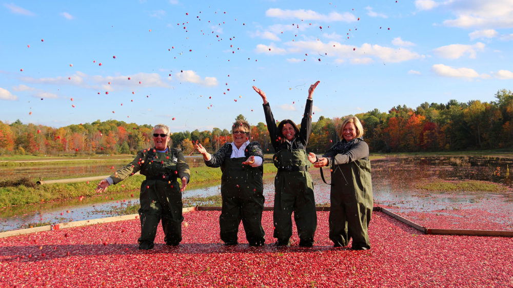 Muskoka Lakes Farm & Winery