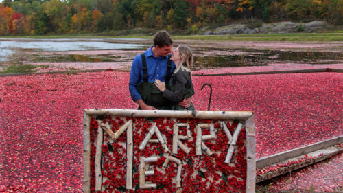 Muskoka Lakes Farm & Winery vs the CN Tower