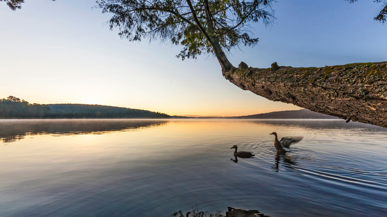 Killarney Lodge in Algonquin Park