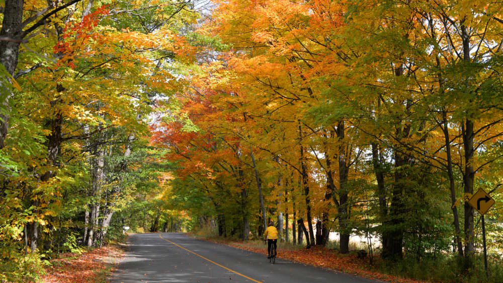 Lake of Bays