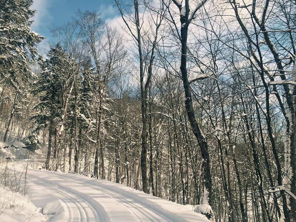 Limberlost Forest &#038; Wildlife Reserve
