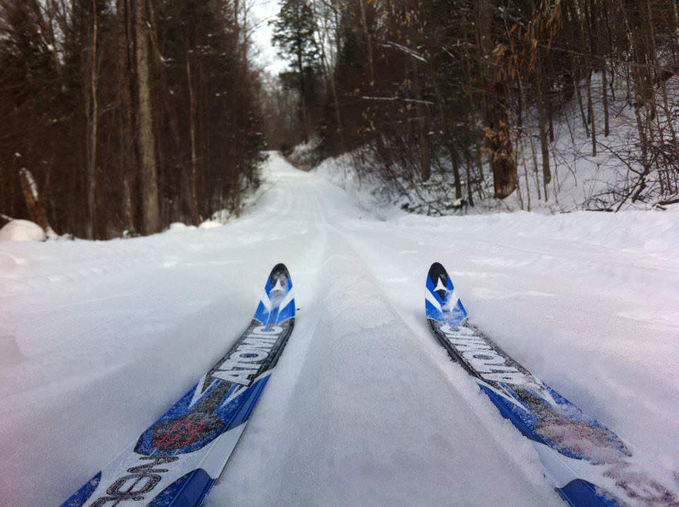 Limberlost Forest &#038; Wildlife Reserve