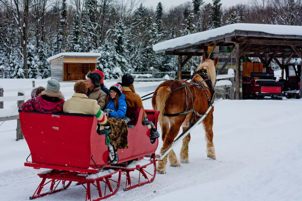 Take a Magical Sleigh Ride Through a Winter Wonderland