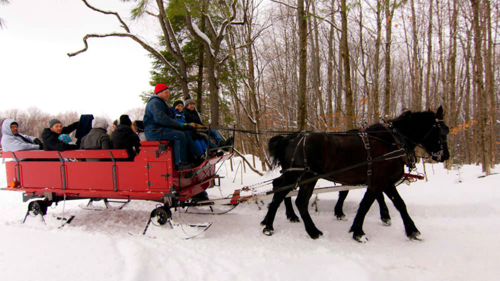 Take a Magical Sleigh Ride Through a Winter Wonderland