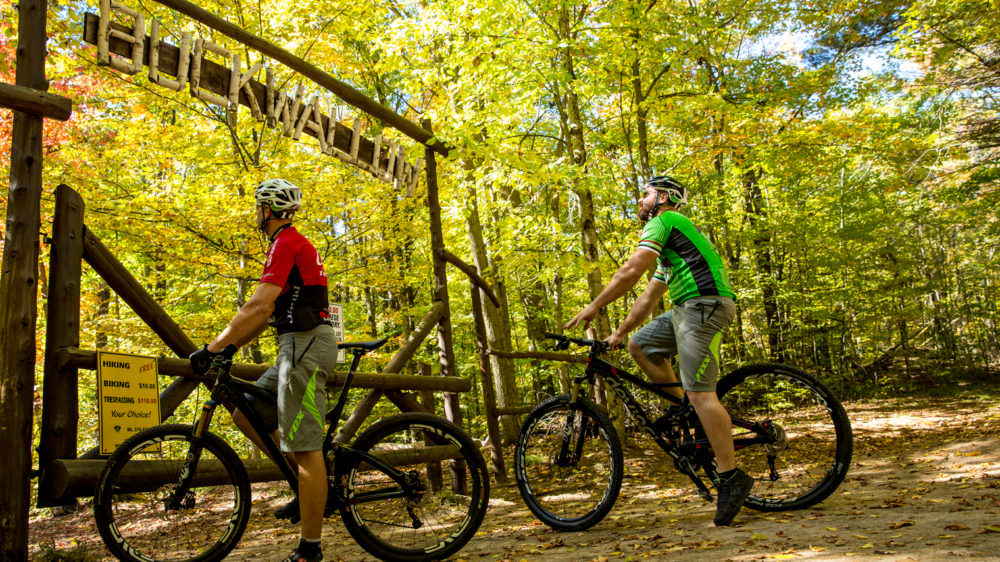 bicycle fenders 26