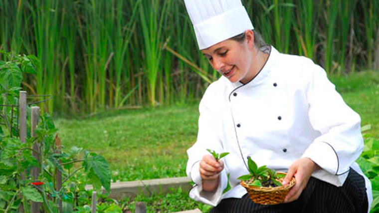 A World Class 5-Course Gourmet Dining Experience