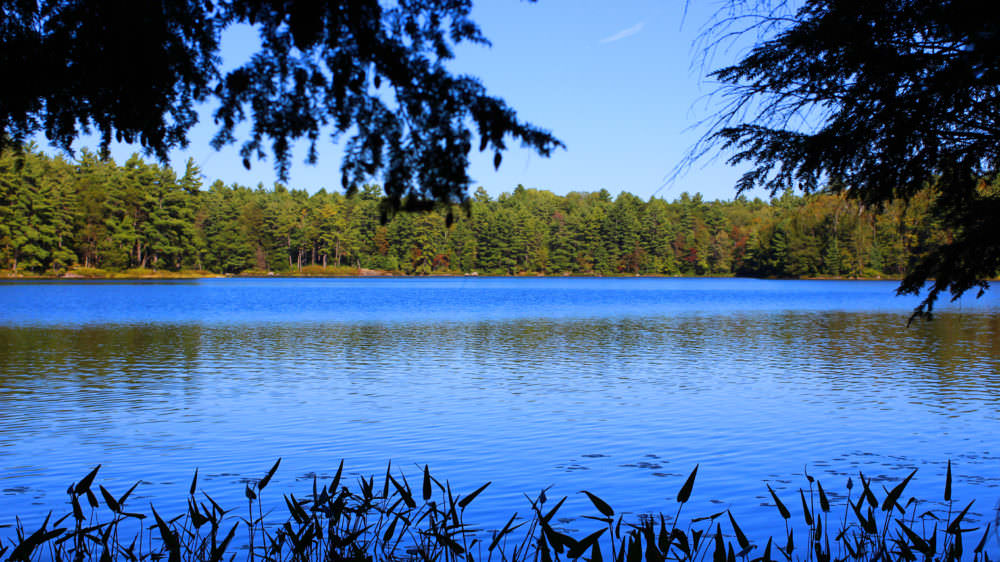 Hardy Lake Provincial Park