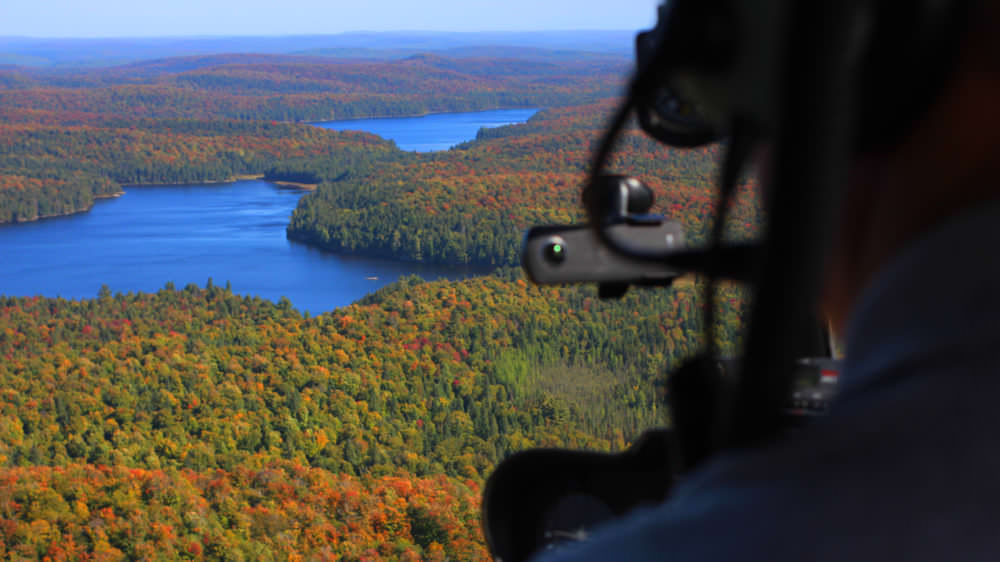 Best Ways to Experience Fall Colours in Muskoka