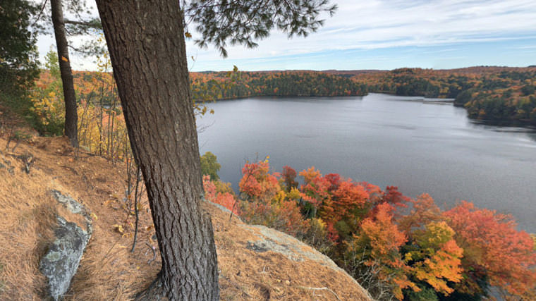 Limberlost Forest & Wildlife Reserve