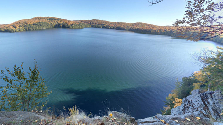 Limberlost Forest & Wildlife Reserve